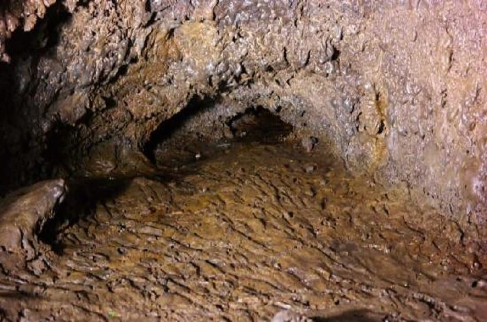 Caves Tour (Algar Do Carvão, Gruta Do Natal, Furnas Do Enxofre) from Azores - Photo 10