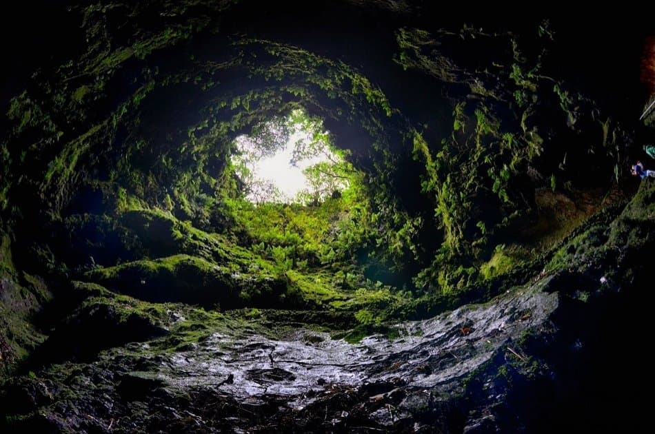 Caves Tour (Algar Do Carvão, Gruta Do Natal, Furnas Do Enxofre) from Azores - Photo 4