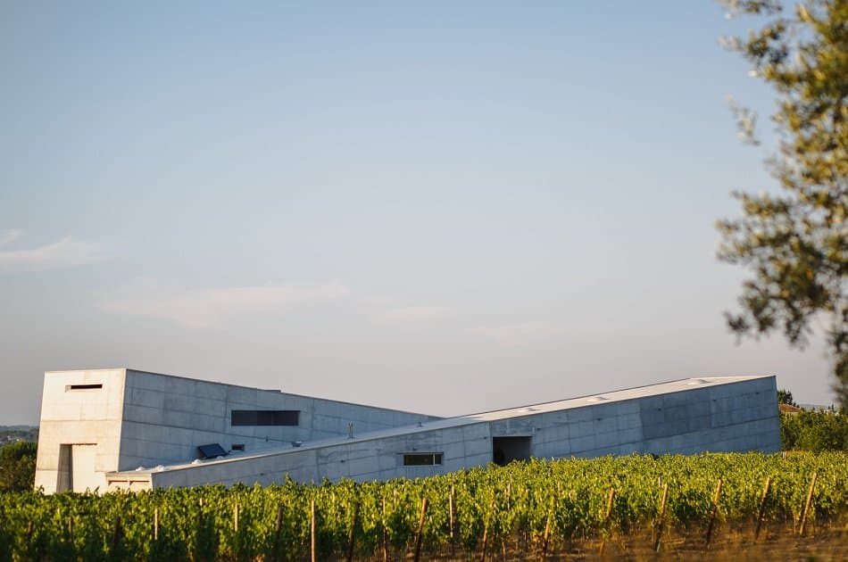 Dão Tour with Food & Wine Tastings including Lunch from Porto - Photo 7