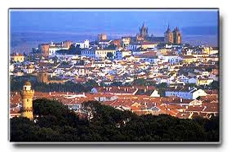 Day Trip to Evora (UNESCO World Heritage) with Lunch from Lisbon - Photo 16