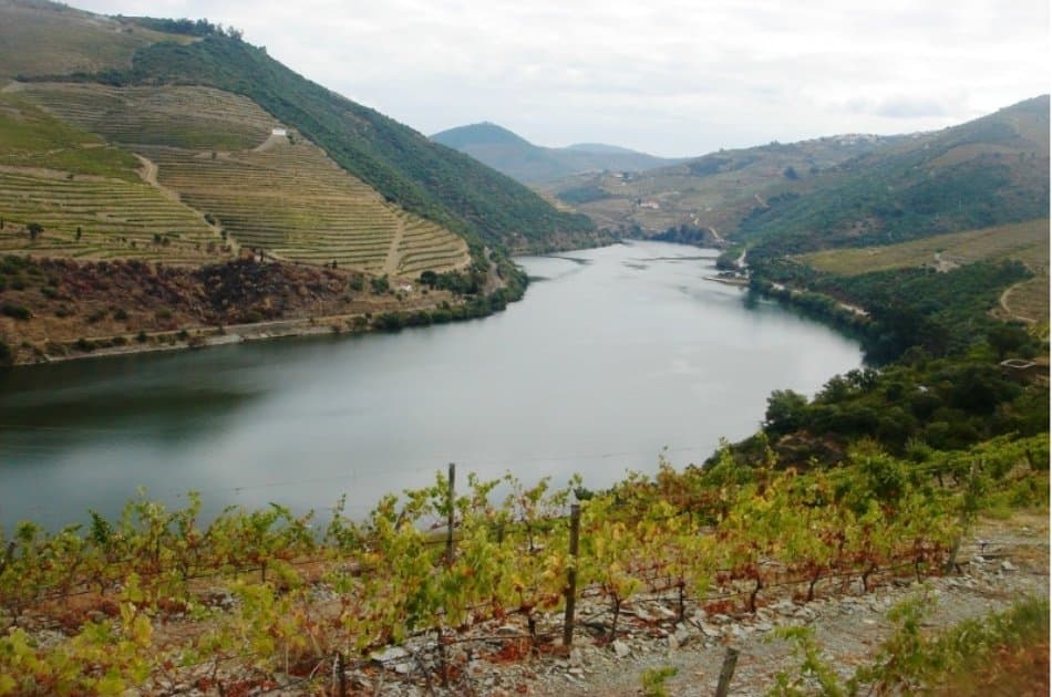 Douro Private Tour From Porto - Photo 5