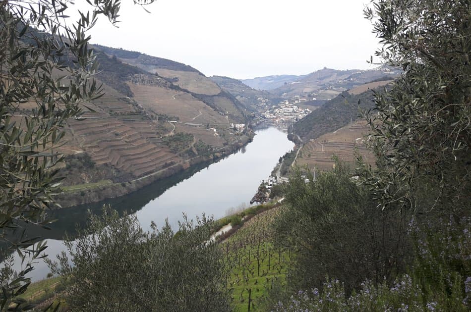 Douro Private Tour From Porto - Photo 3