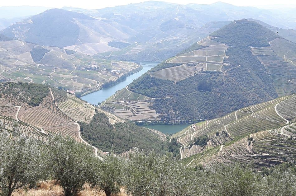 Douro Private Tour From Porto - Photo 6