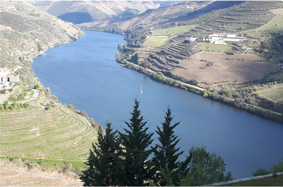 Douro Private Tour From Porto - Photo 2