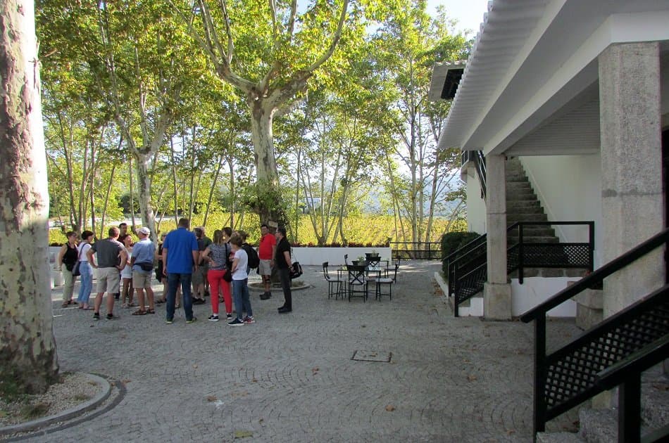Enjoy a Tasty Douro Valley Private Full Day Wine Tour - Photo 16