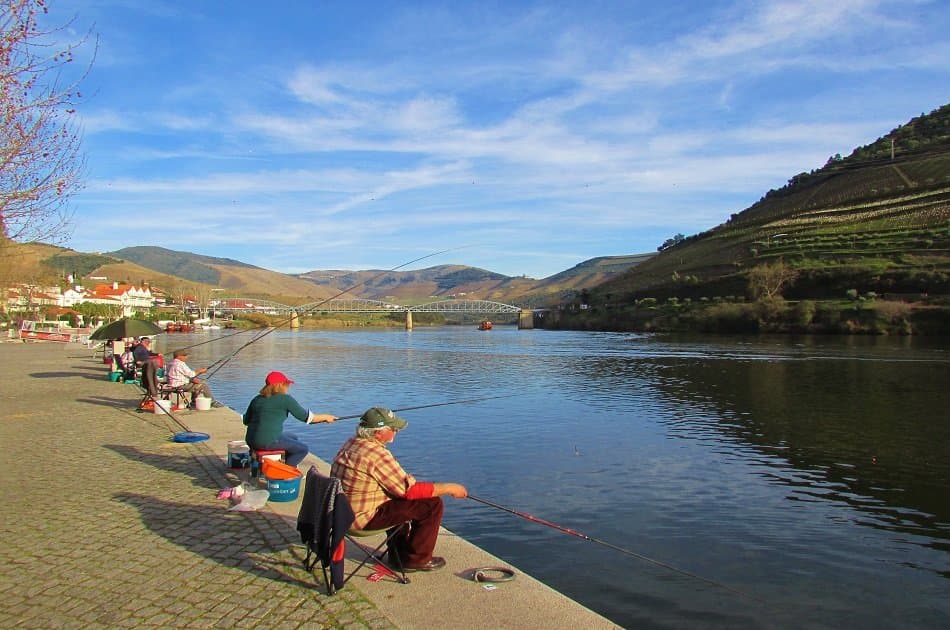 Enjoy a Tasty Douro Valley Private Full Day Wine Tour - Photo 18
