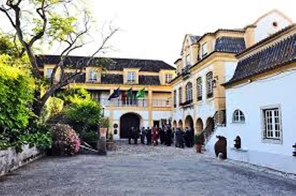 Enotour - Wine Tasting & Winery Tours near Lisbon with Lunch - Photo 7