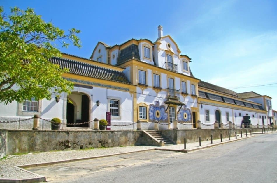 Enotour - Wine Tasting & Winery Tours near Lisbon with Lunch - Photo 6