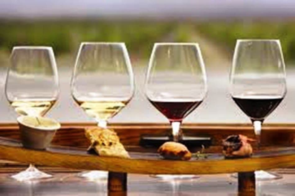 Enotour - Wine Tasting & Winery Tours near Lisbon with Lunch - Photo 9