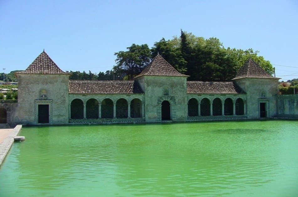 Enotour - Wine Tasting & Winery Tours near Lisbon with Lunch - Photo 5