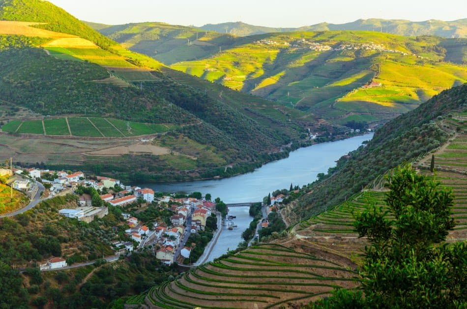Full-Day Douro Valley Wine and Food Tour from Porto - Photo 3
