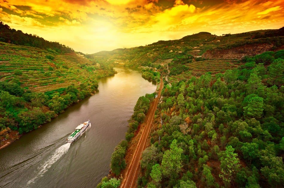 Full-Day Douro Valley Wine and Food Tour from Porto - Photo 2