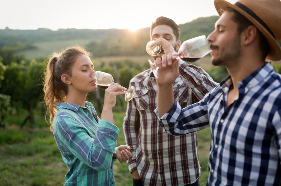Full-Day Douro Valley Wine and Food Tour from Porto - Photo 4