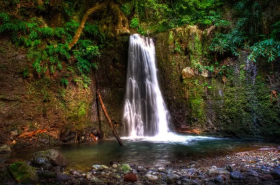 Full Day Private & Customizable Tours on São Miguel Island - Photo 4