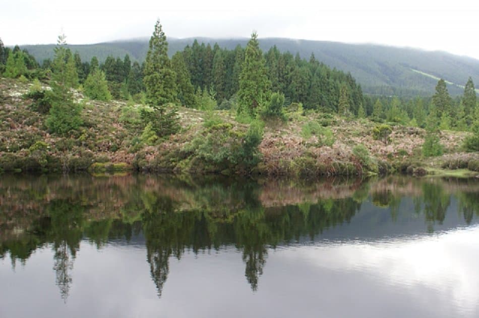 Full Day Tour of the Best Terceira Island Has to Offer in the Azores - Photo 6
