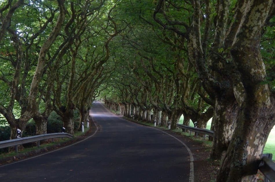 Full Day Tour of the Best Terceira Island Has to Offer in the Azores - Photo 2