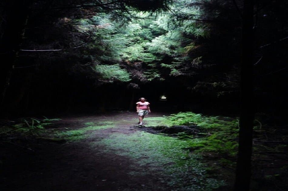 Full Day Tour of the Best Terceira Island Has to Offer in the Azores - Photo 3