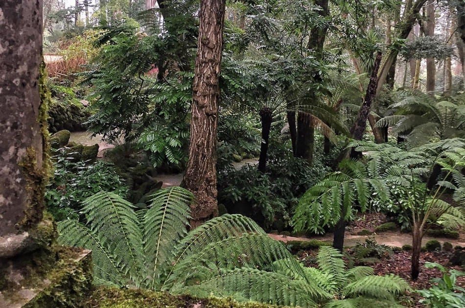 Historical Full Day Guided Sintra Tour From Lisbon - Photo 3