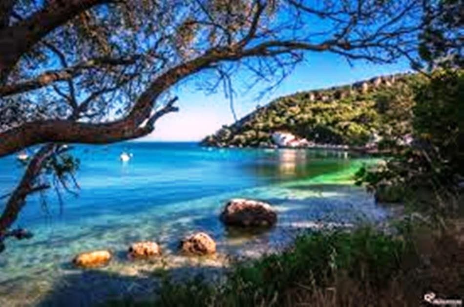 Lisbon Tour to Arrabida & Sesimbra Natural Park- with fish / seafood lunch - Photo 8
