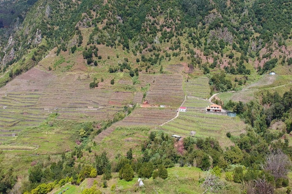 Nature & Wine Tasting Experience – Open Roof 4x4 Tour - Photo 6