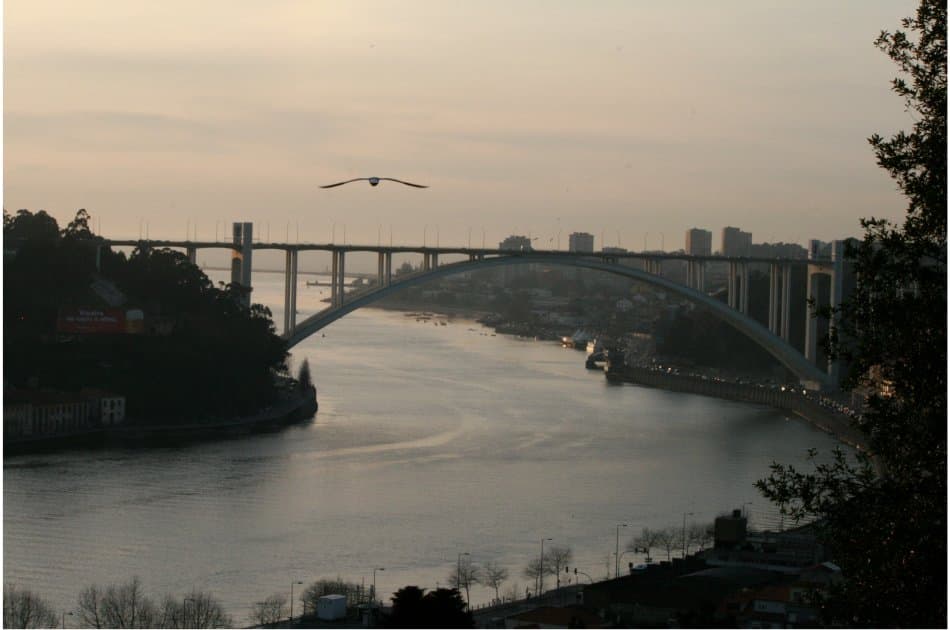Porto Full Day Private Tour - Photo 2