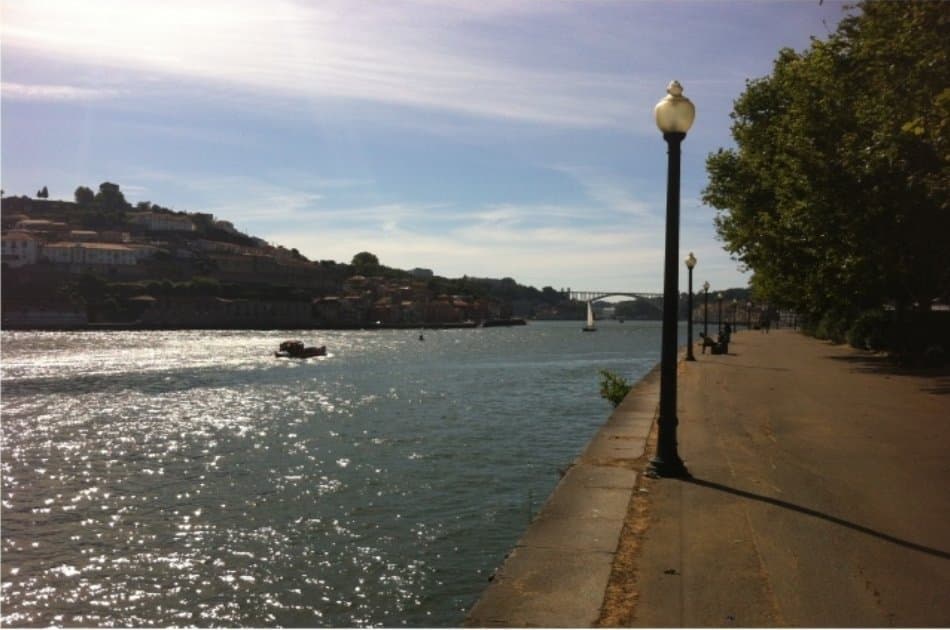 Porto Full Day Private Tour - Photo 6