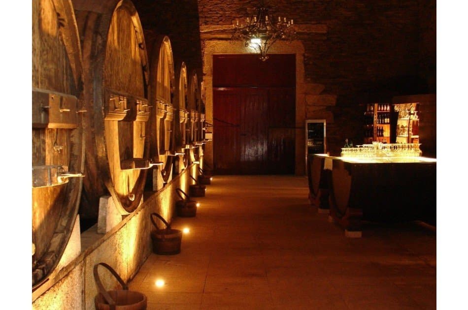 Private Douro Valley Grape Harvest Tour w/ Wine Tasting & Lunch - Photo 8
