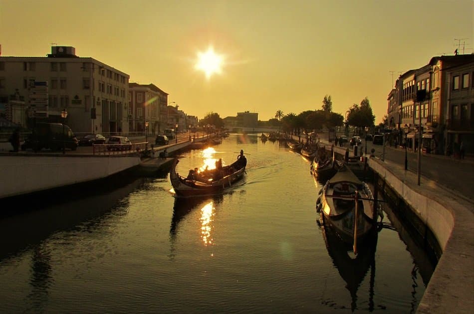 Private Full Day Tour to Explore the ‘Portuguese Venice’, Aveiro, Including Paiva Walkway - Photo 20