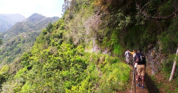 Rabaçal Levada Walk + Open Roof 4x4 Tour - Photo 1