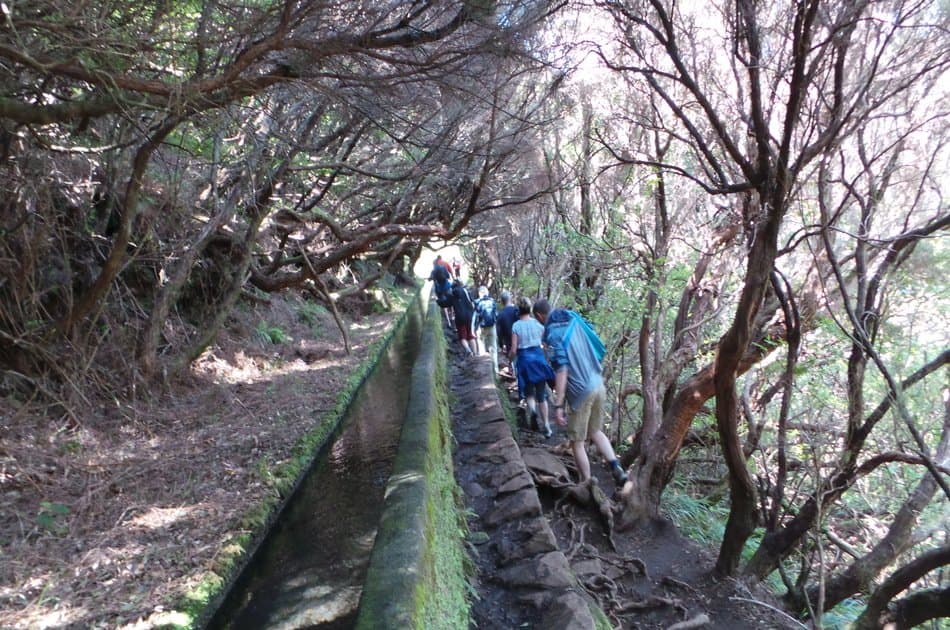 Rabaçal Levada Walk + Open Roof 4x4 Tour - Photo 3