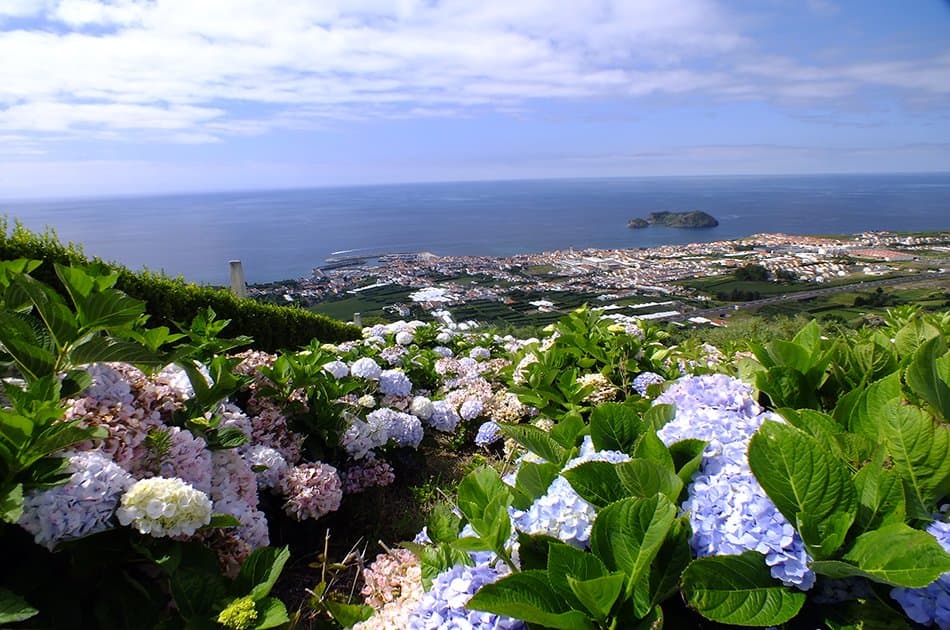 São Miguel island: Private & Customizable tour - Photo 7