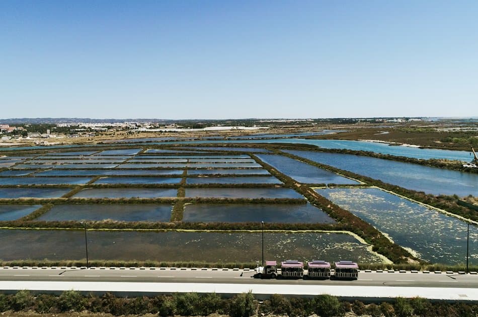 Tavira: Hop-On Hop-Off Tourist Train - Photo 3