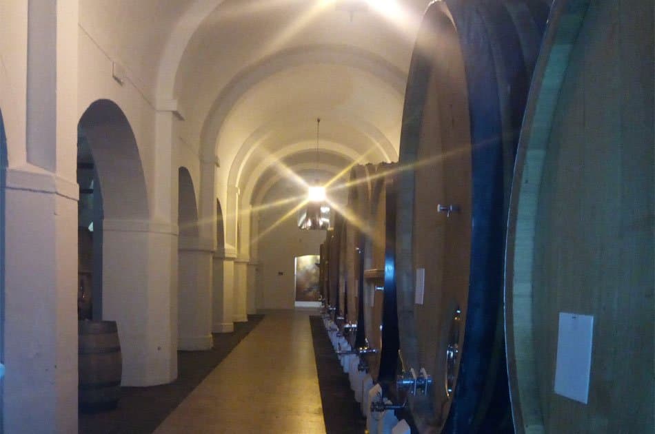 Évora Private Tour - Wine Tourism from Lisbon - Photo 2