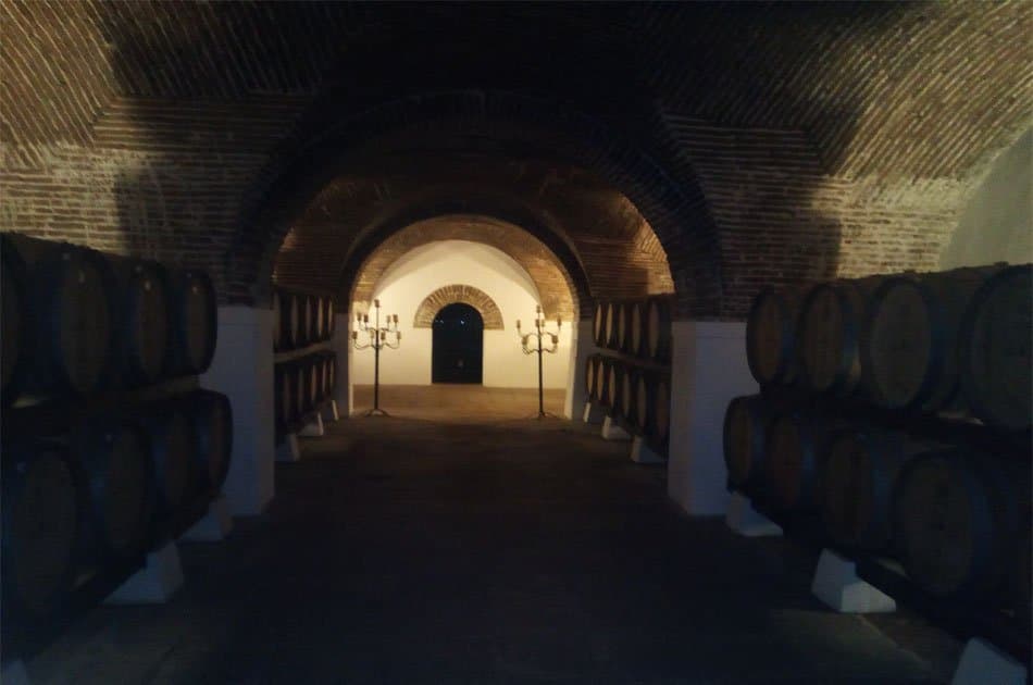 Évora Private Tour - Wine Tourism from Lisbon - Photo 7