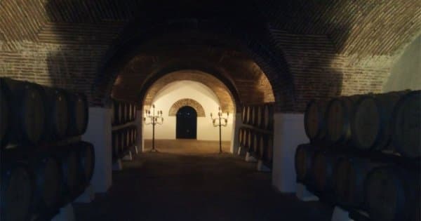 Évora Private Tour - Wine Tourism from Lisbon - Photo 1