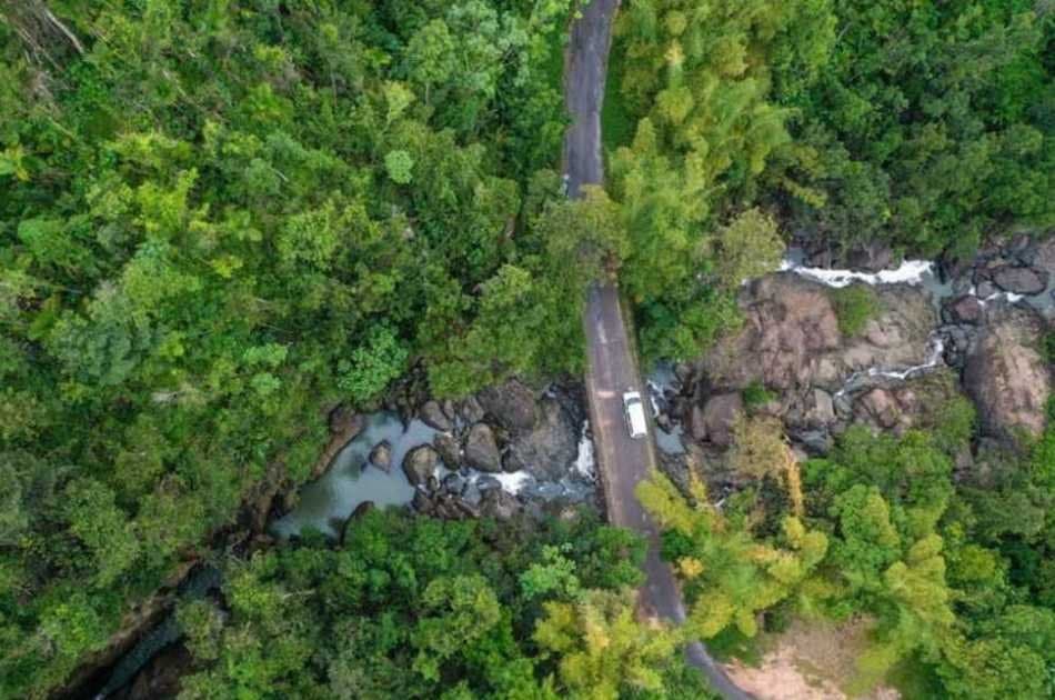 El Yunque Rainforest Experience - Off the beaten path! - Photo 7
