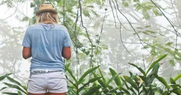 El Yunque Rainforest Experience - Off the beaten path! - Photo 1