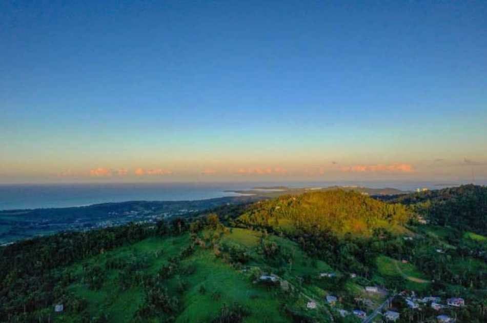 El Yunque Rainforest Experience - Off the beaten path! - Photo 8