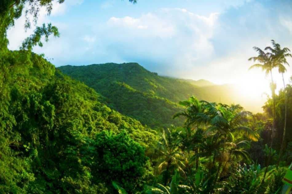 El Yunque Rainforest Experience - Off the beaten path! - Photo 4