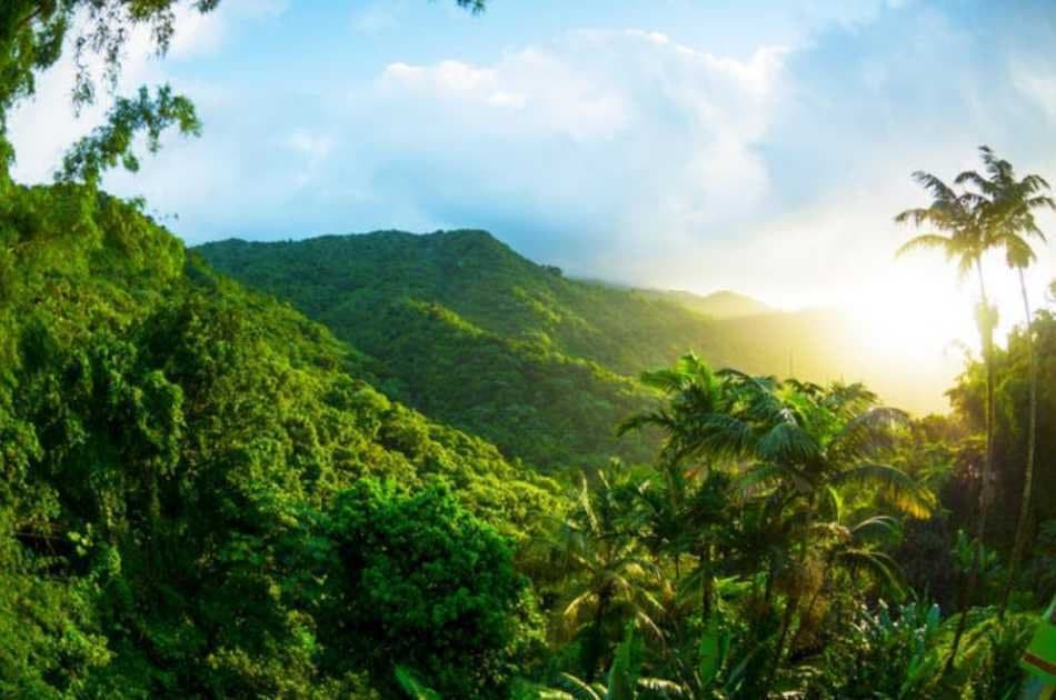 Meet Your Guide at El Yunque - Off the Beaten Path - Photo 4