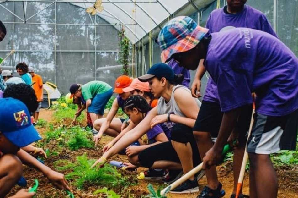 Workshop: Experience Life on a 11 Acre Organic Farm - Photo 2