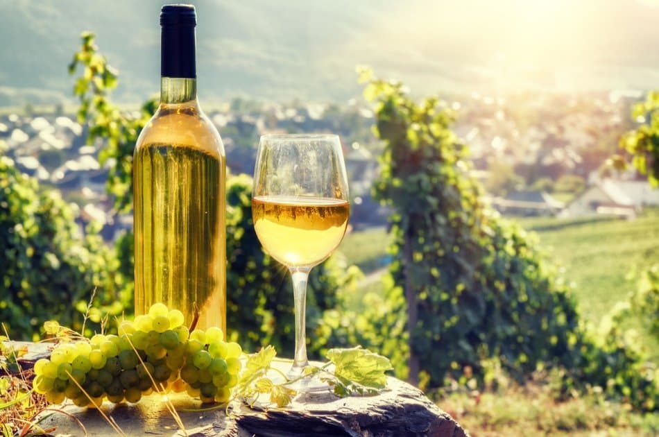 Romanian Wine Tasting in Buzau - Photo 2