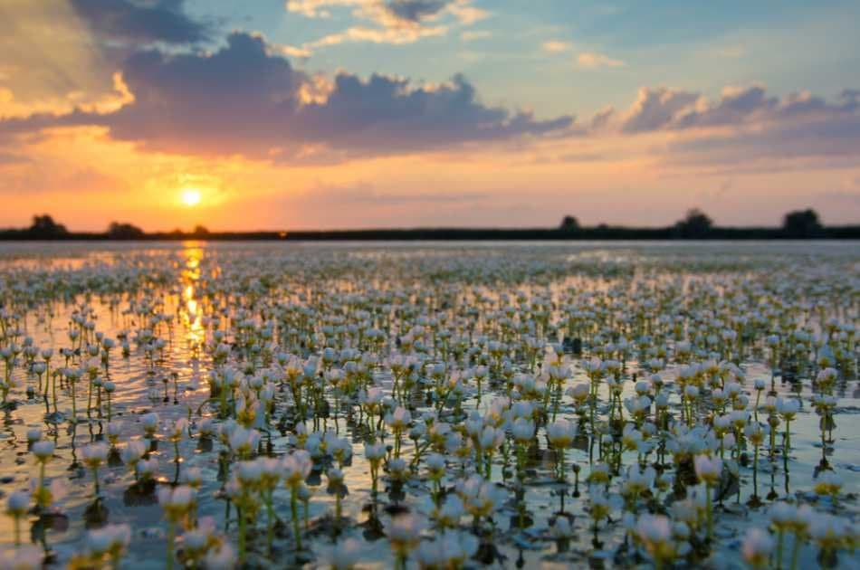 The Danube Delta & Black Sea 2 Day Tour - Photo 5