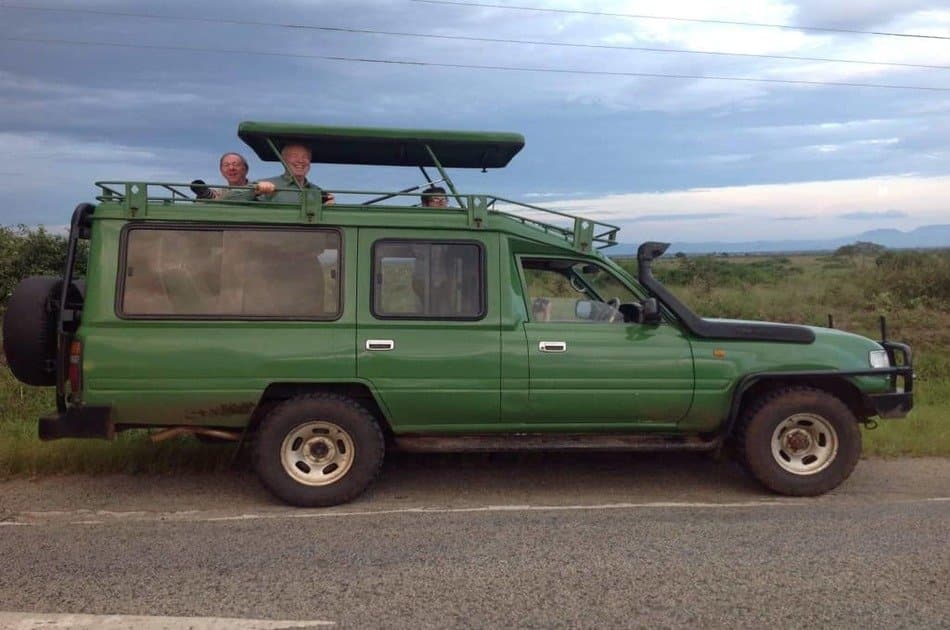 1 Day Big 5 & Big Cats in Akagera National Park Private Tour - Photo 5
