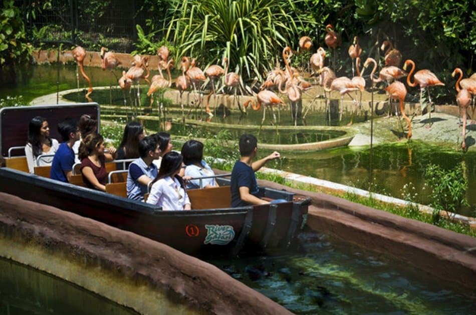 Singapore River Safari - Photo 3