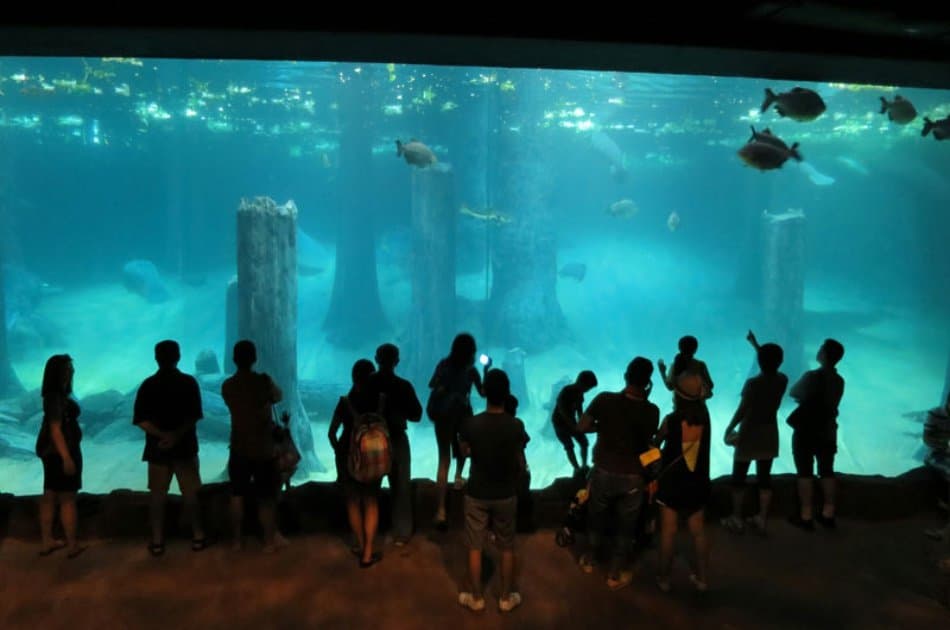 Singapore River Safari - Photo 4