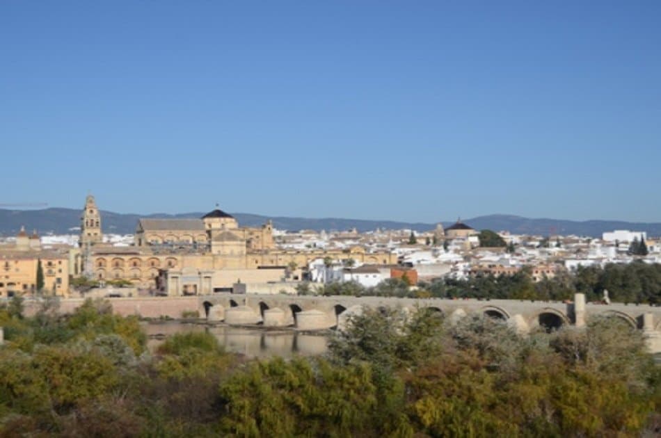 Cordoba Day Tour With a Local Expert From Seville - Photo 4