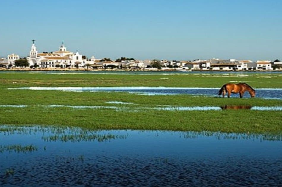 Doñana Nature Park - Off the Beaten Path Tour - Photo 3