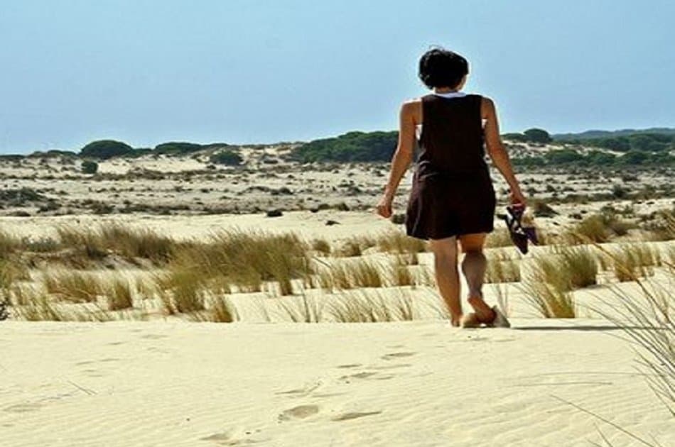 Doñana Nature Park - Off the Beaten Path Tour - Photo 6