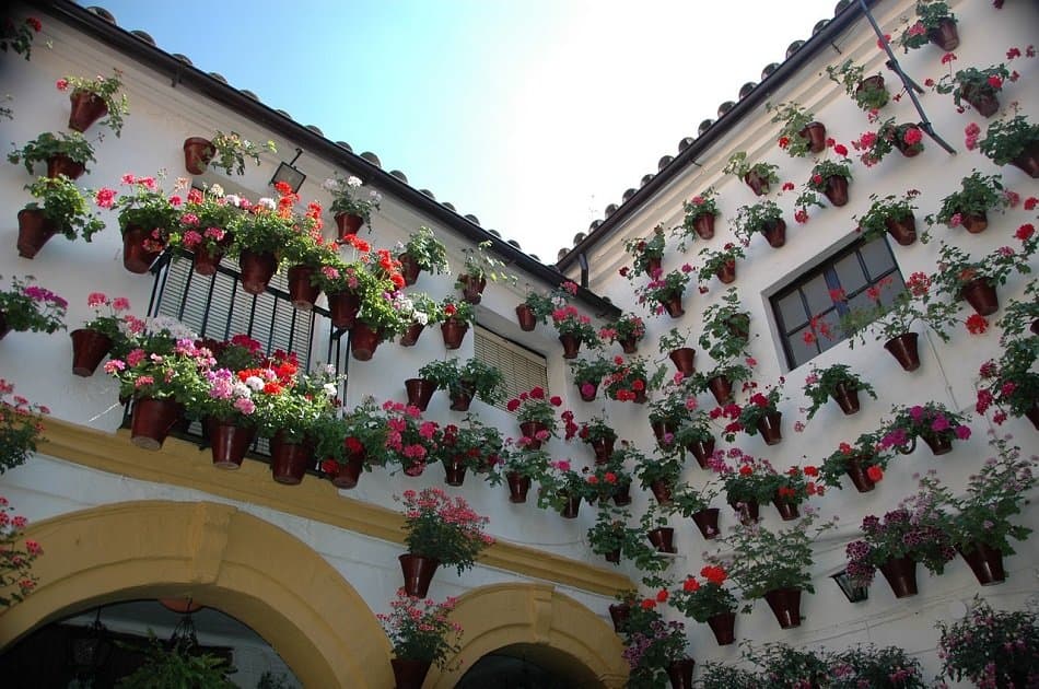 Full Day: Cordoba from Seville Private Tour - Photo 7